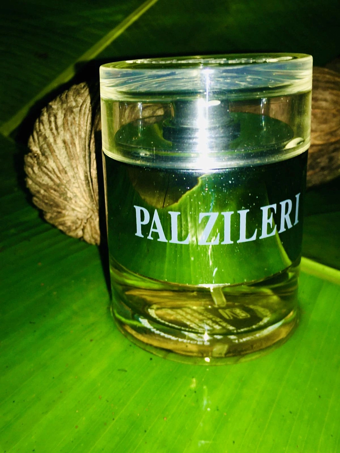 Pal Zileri