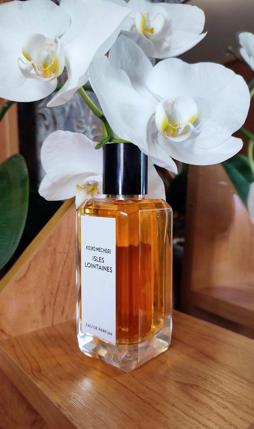 Keiko Mecheri Isles Lointaines