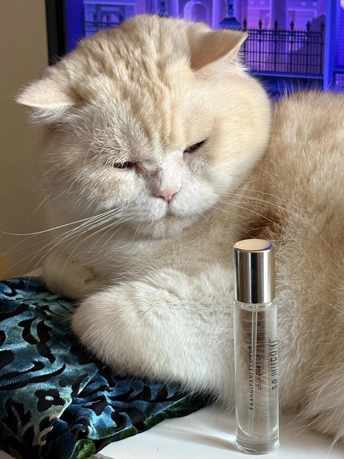 Jo Malone Frangipani Flower 2021