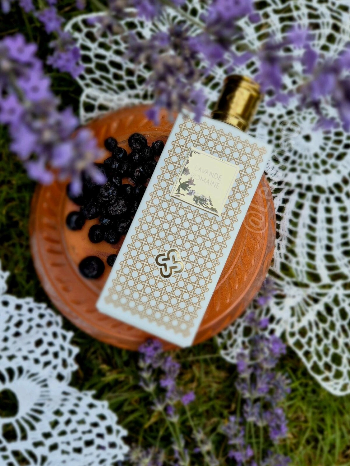 Perris Monte Carlo Lavande Romaine