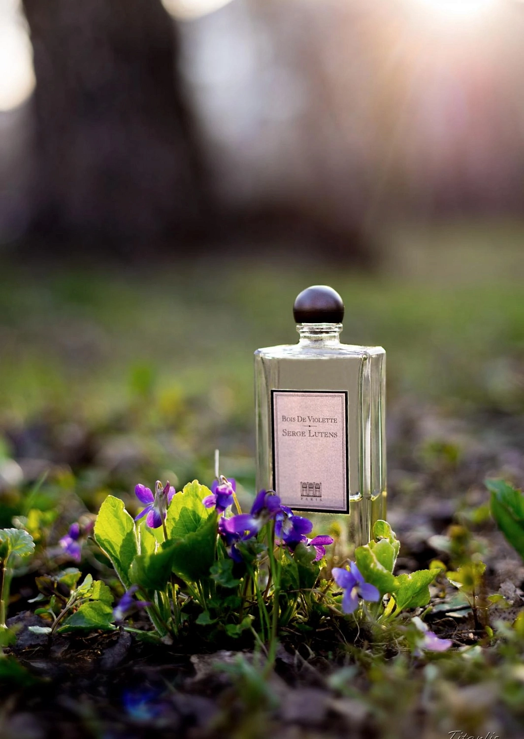 Serge Lutens Bois de Violette