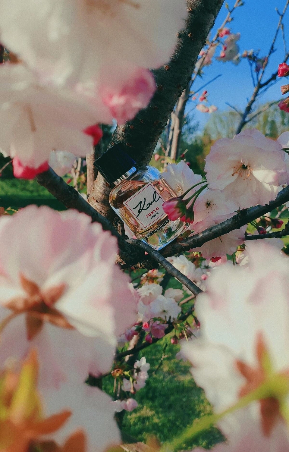 Karl Lagerfeld Karl Tokyo Shibuya