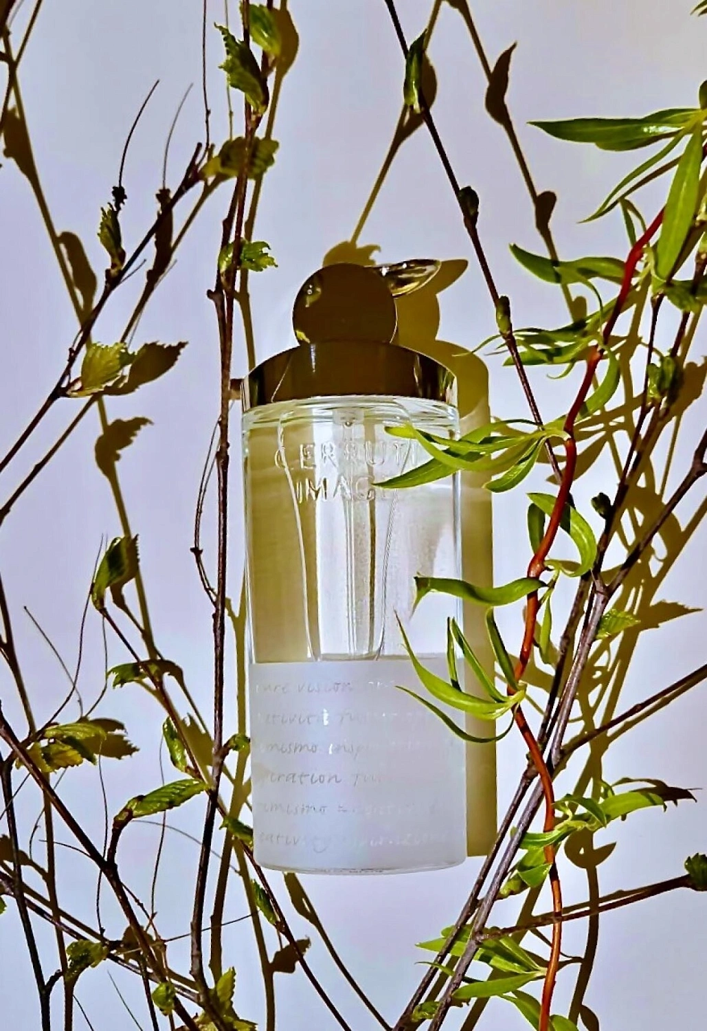 Cerruti 1881 Image Pour Femme Cerruti 1881 Image Pour Femme