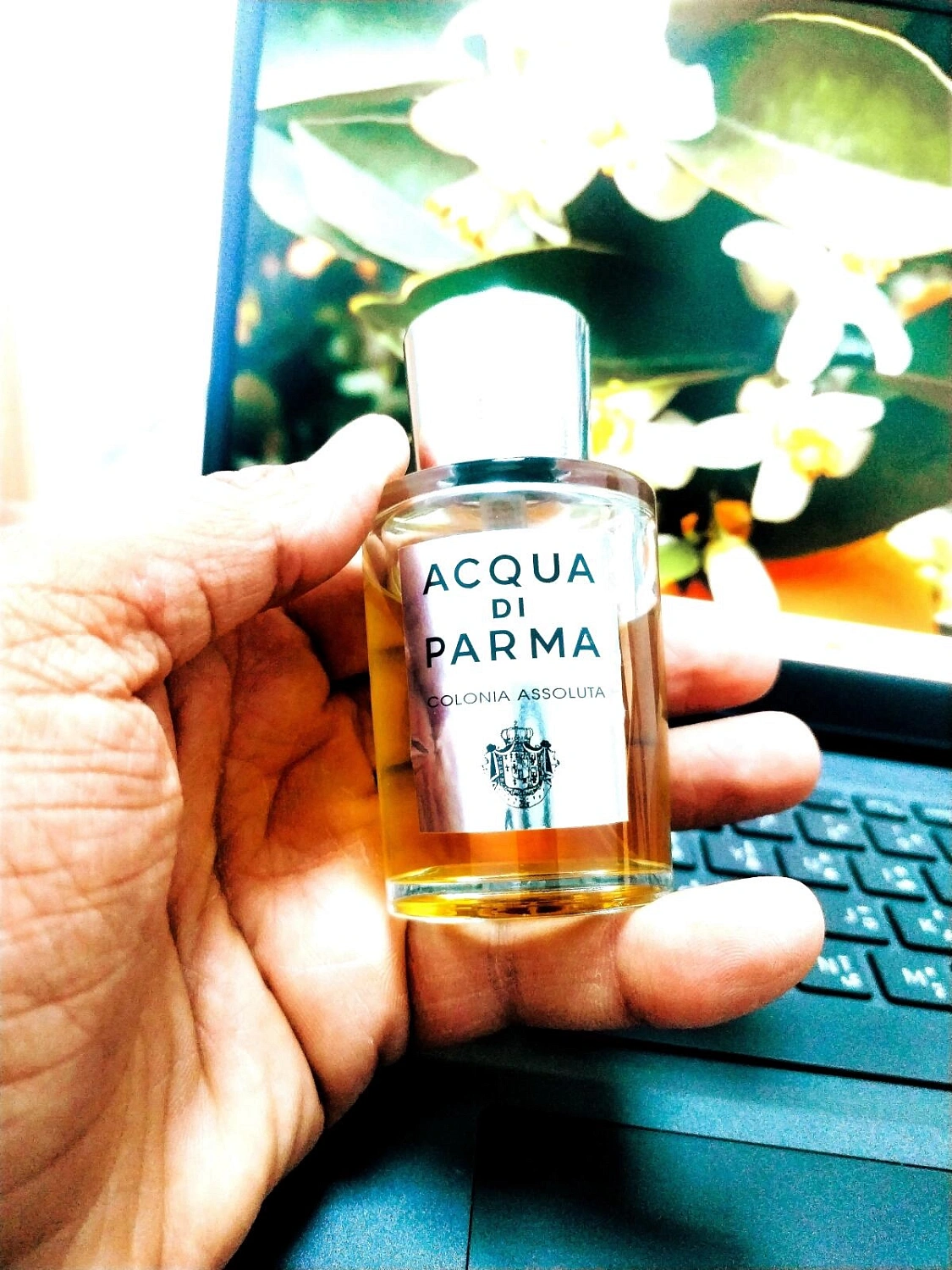 Acqua di Parma Colonia Assoluta