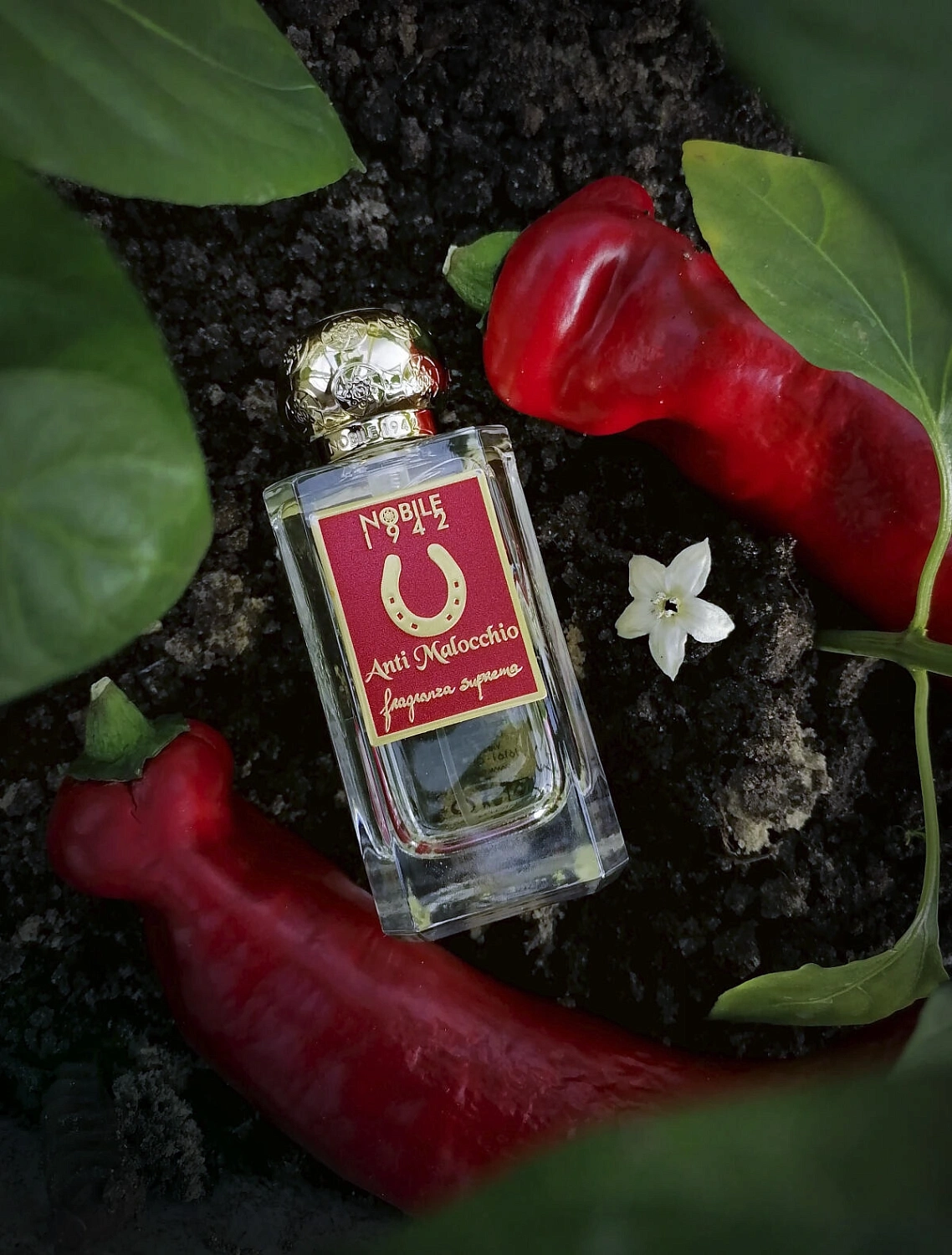 Nobile 1942 Anti Malocchio