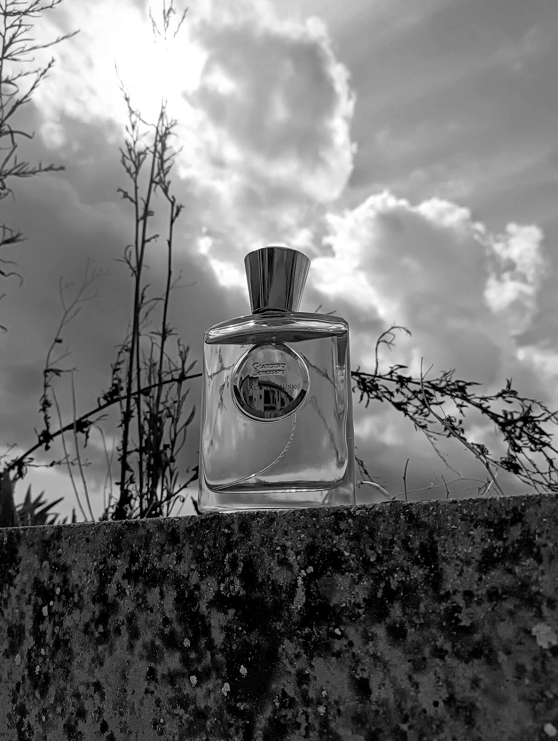 Giardino Benessere Back To Musk