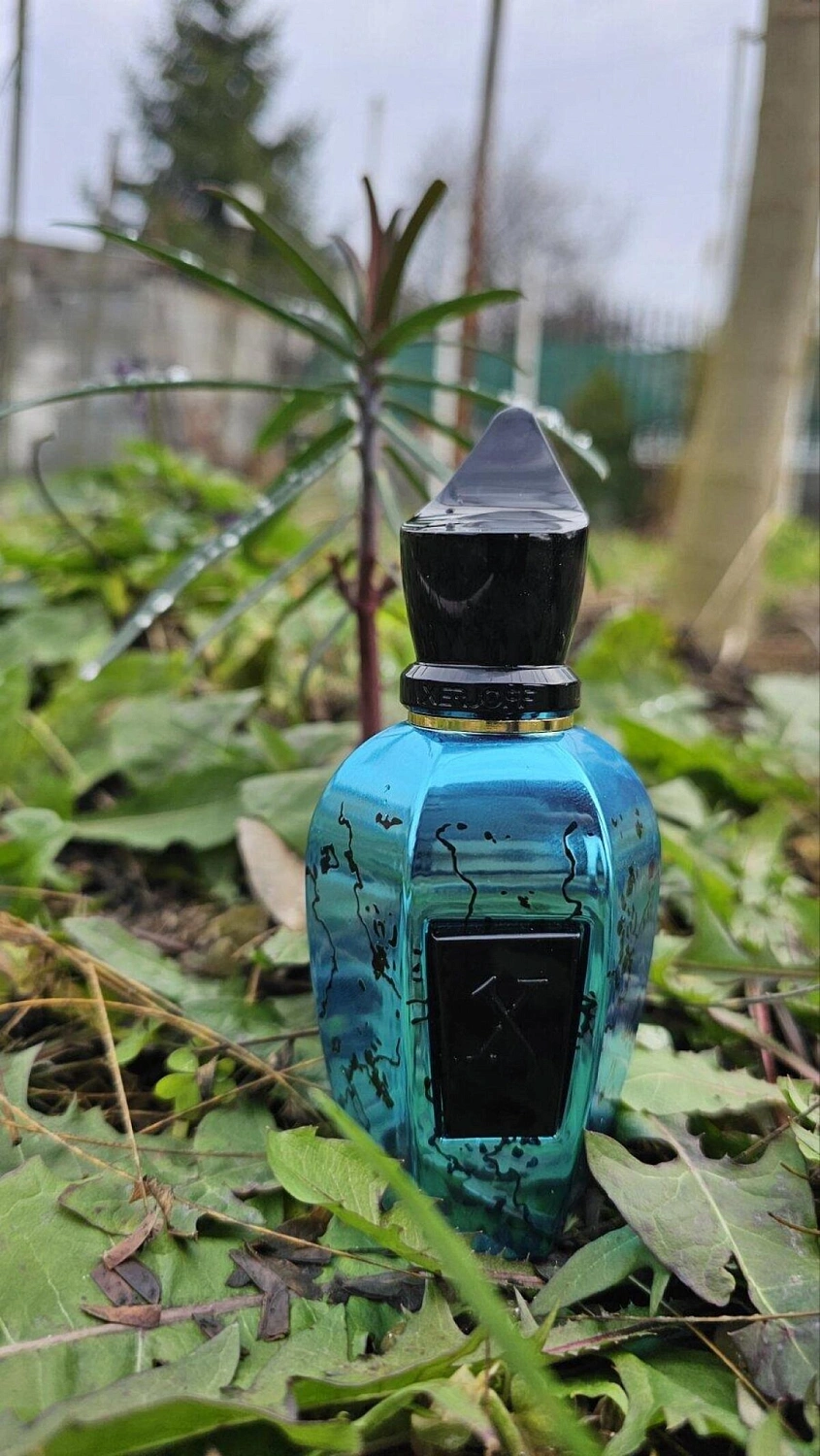 Xerjoff Groove Xcape