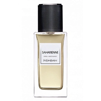 Фото Yves Saint Laurent Saharienne 2015