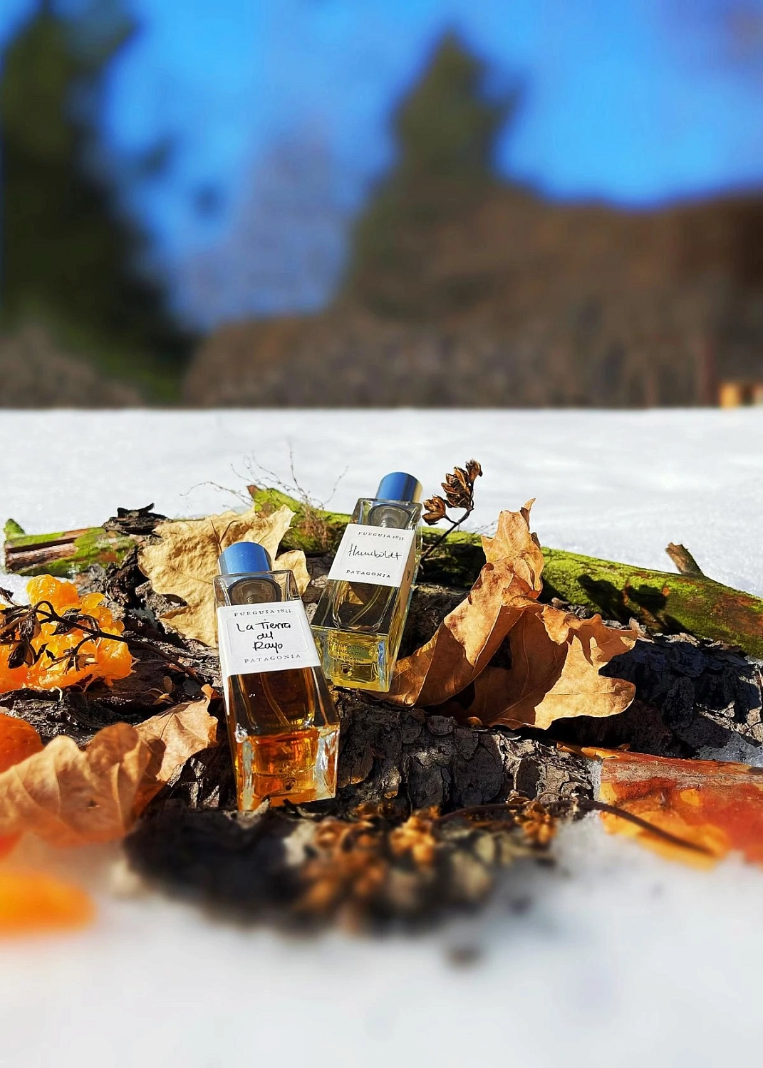 Fueguia 1833 La Tierra del Rayo