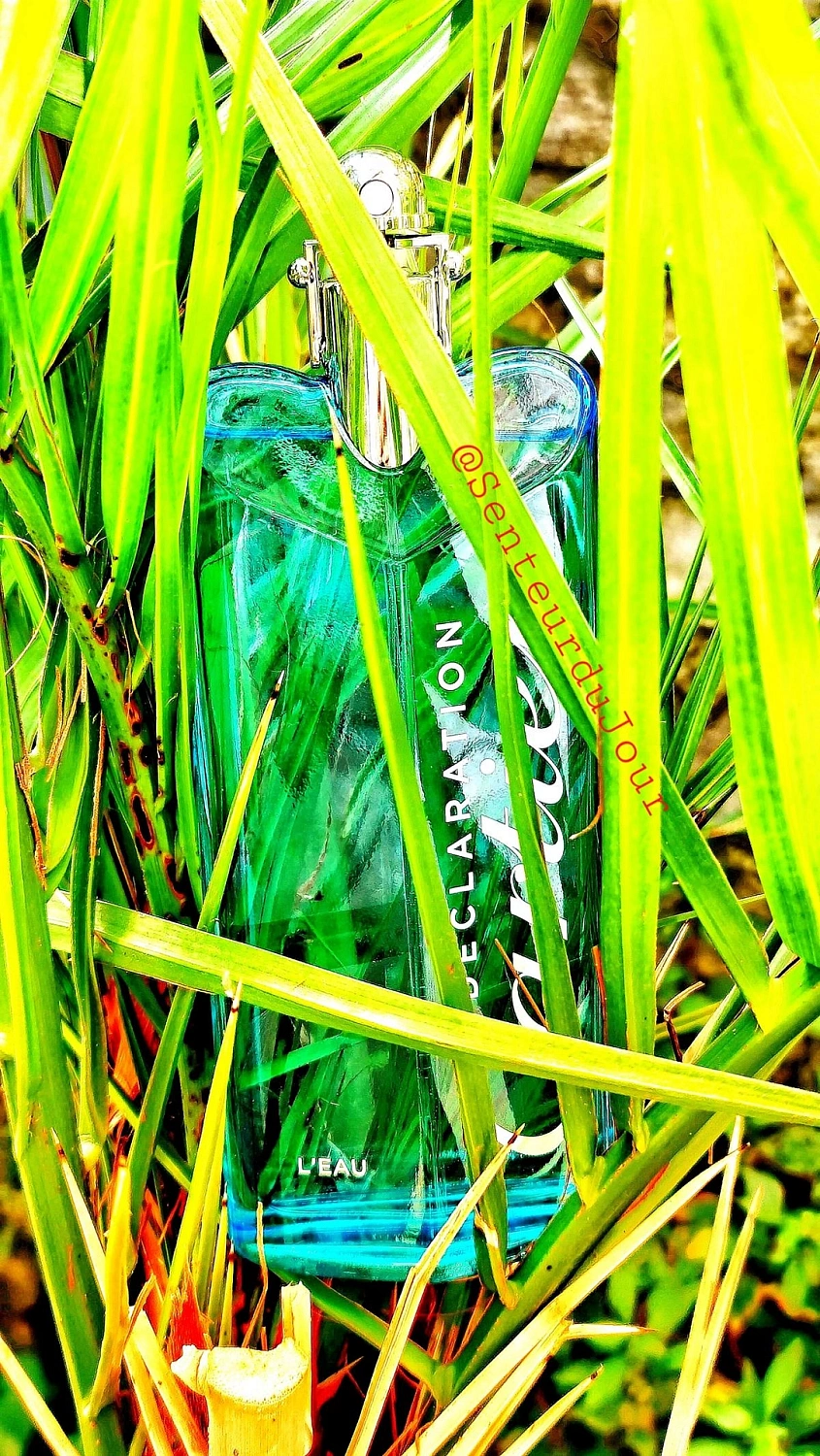 Cartier Declaration L’eau