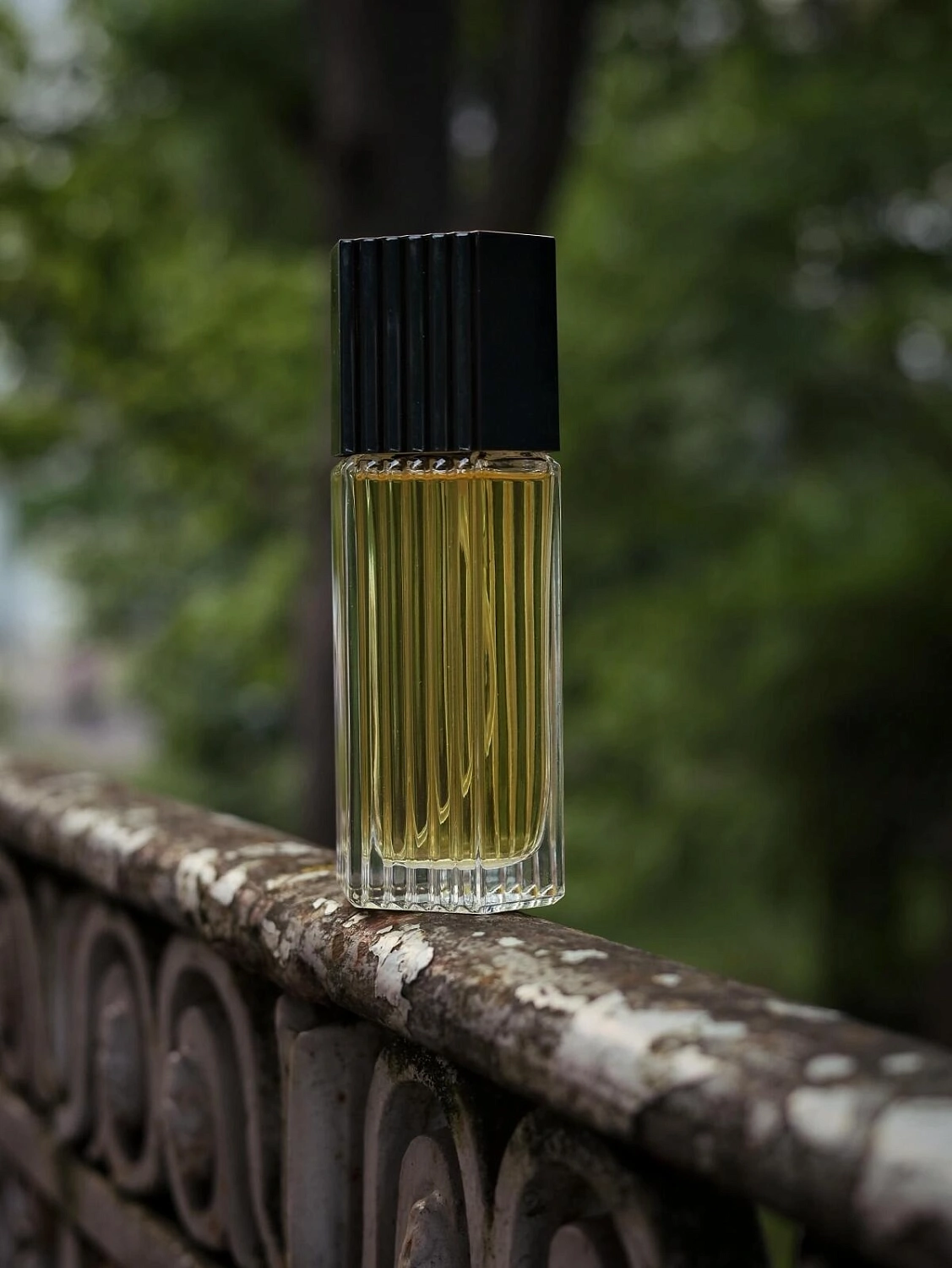 Estee Lauder Lauder for Men