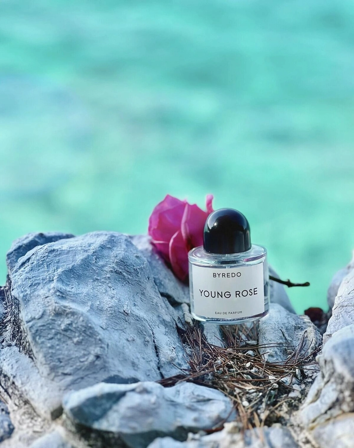BYREDO Young Rose