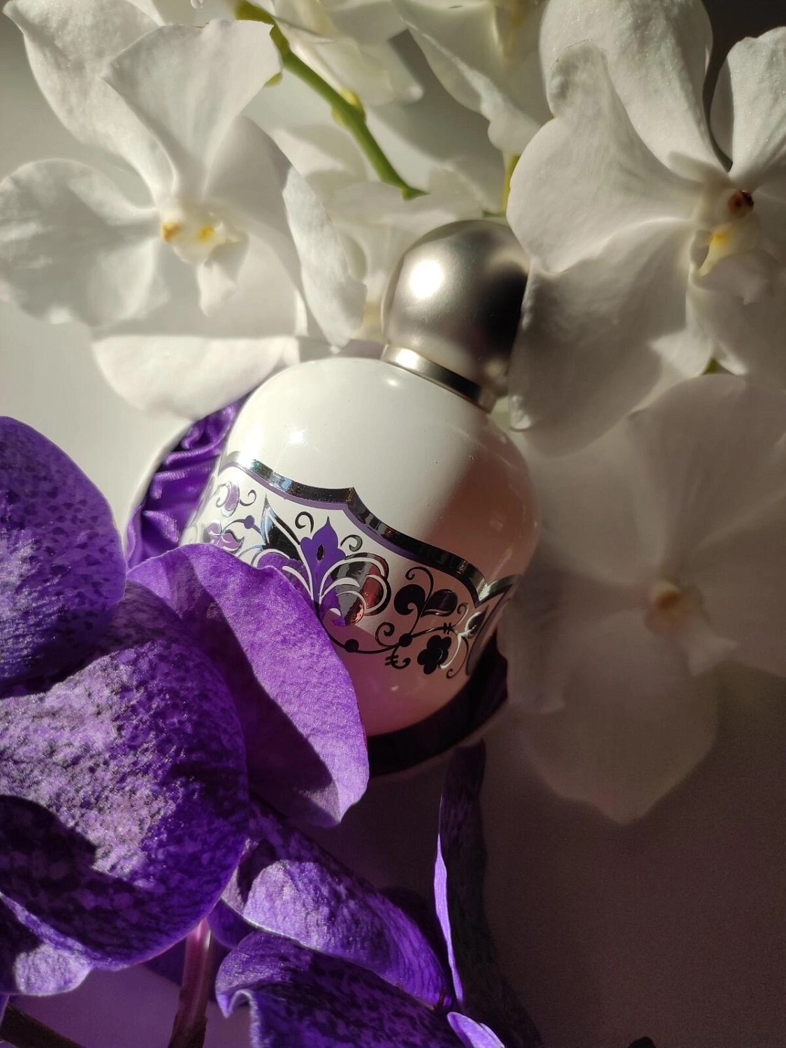 The Vagabond Prince Swan Princess