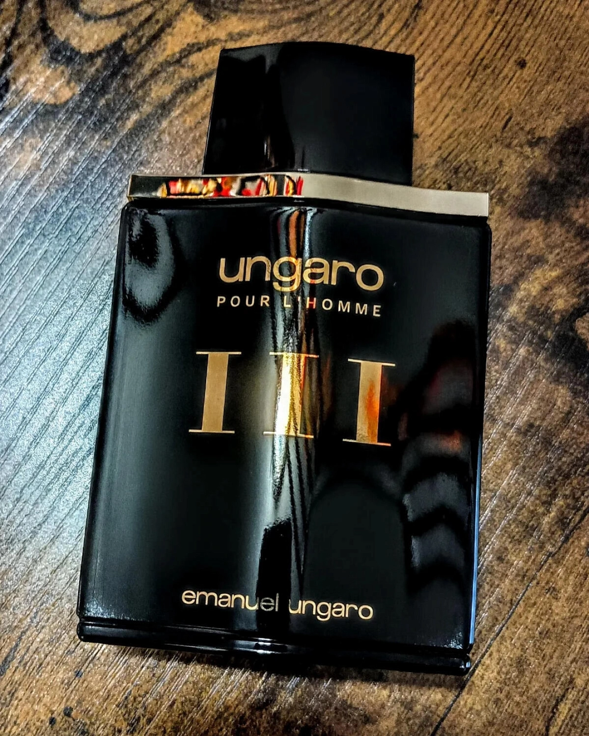 Emanuel Ungaro Ungaro pour L'Homme III