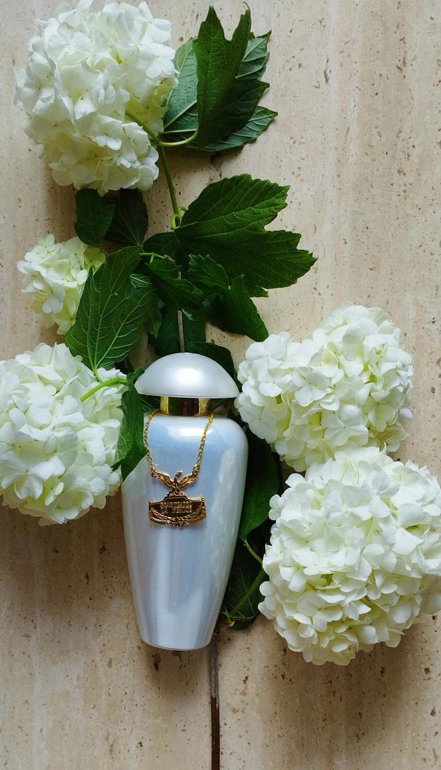 The Merchant of Venice My Pearls The Merchant of Venice My Pearls