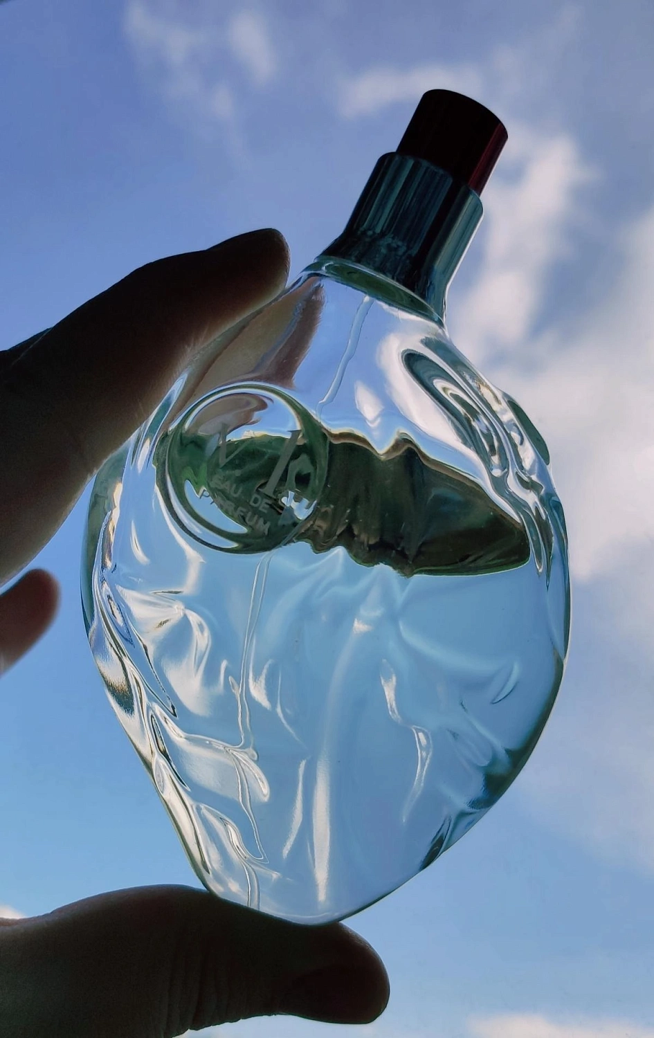 Map Of The Heart V.1 Freedom