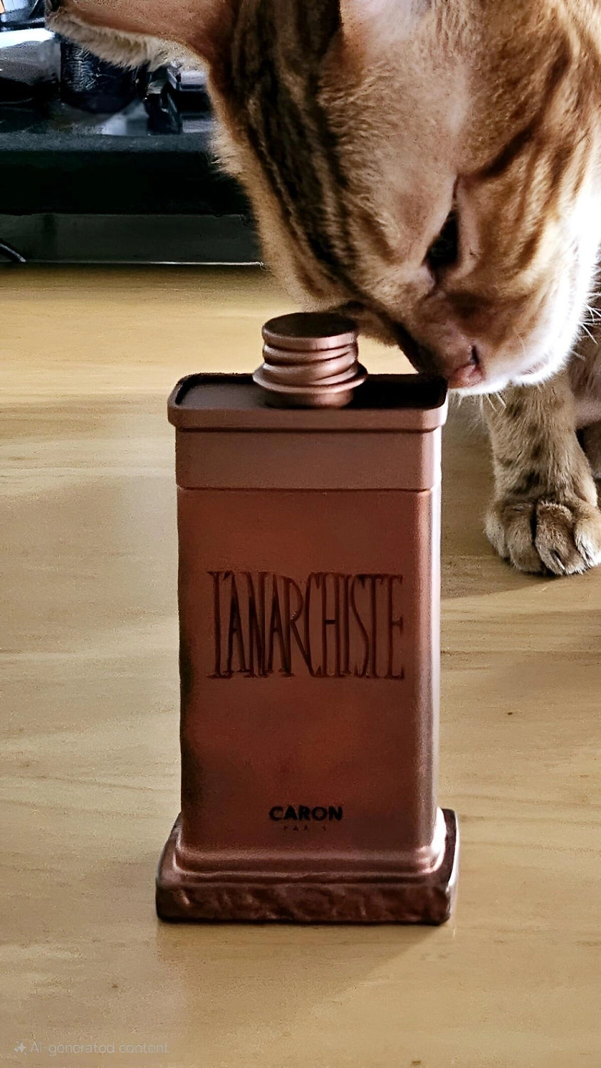 Caron L'anarchiste Caron L'anarchiste