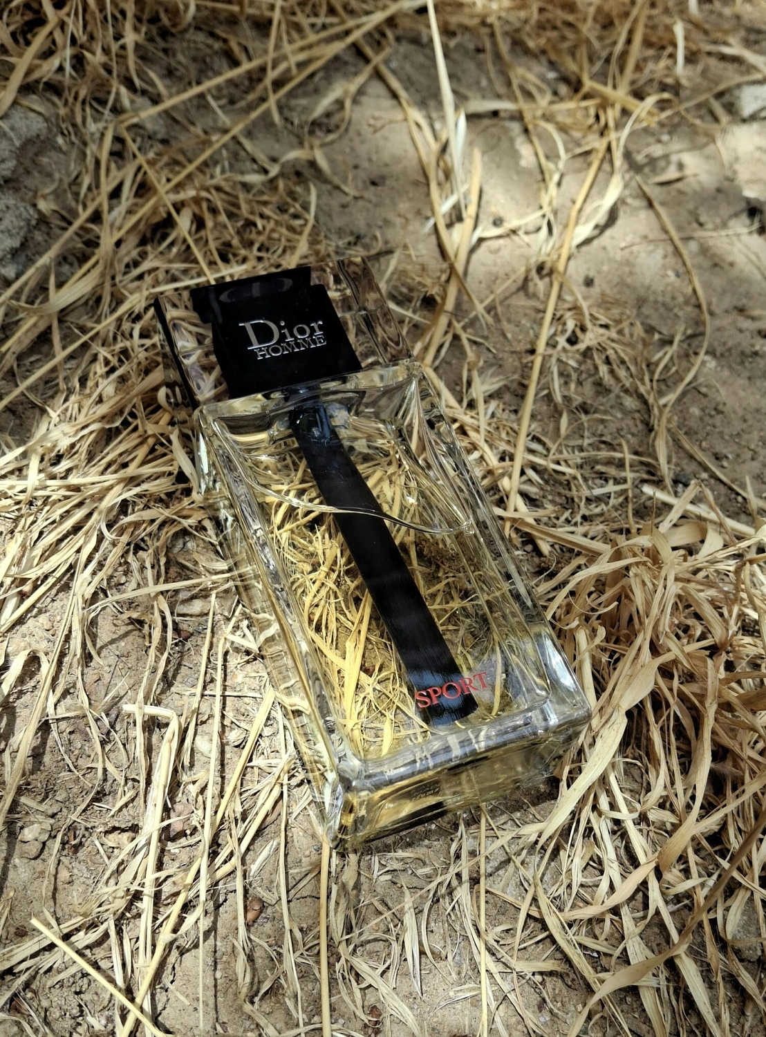 Christian Dior Homme Sport 2025