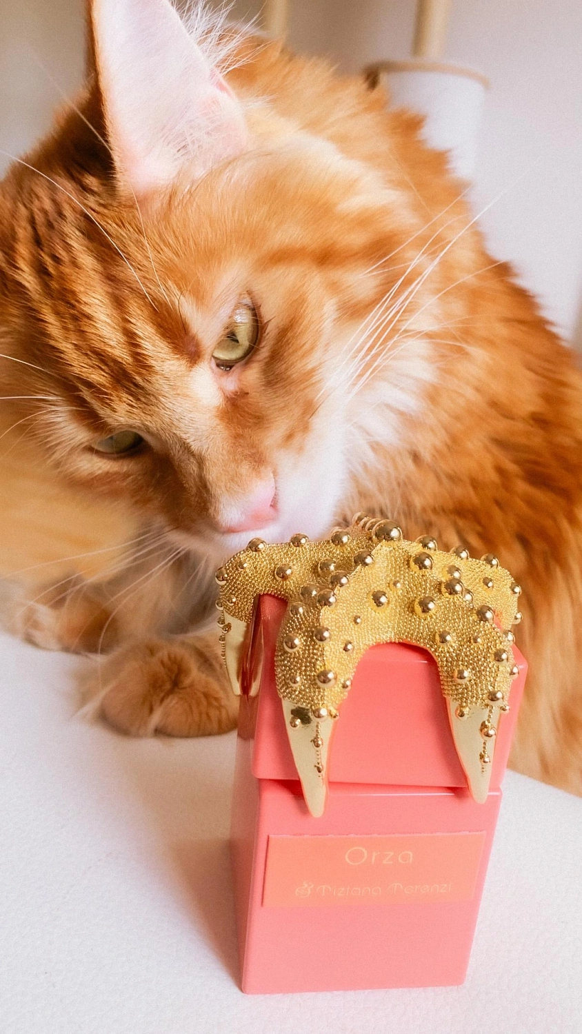 Tiziana Terenzi Orza