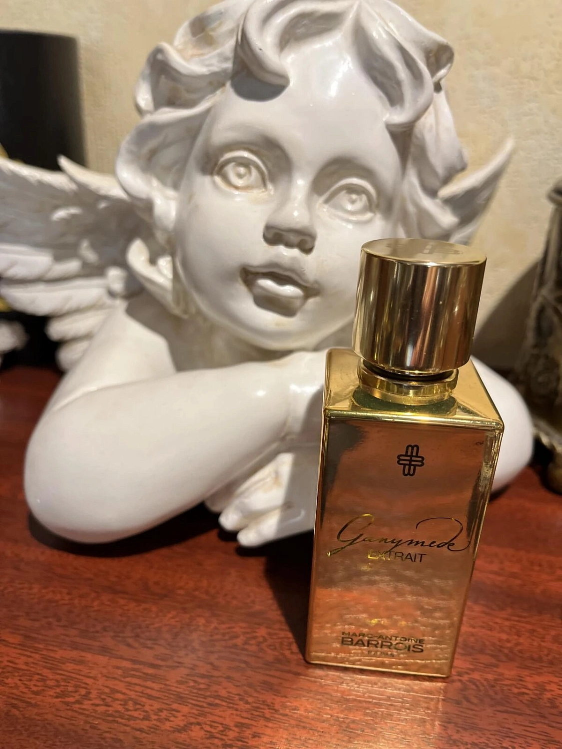 Marc-Antoine Barrois Ganymede Extrait