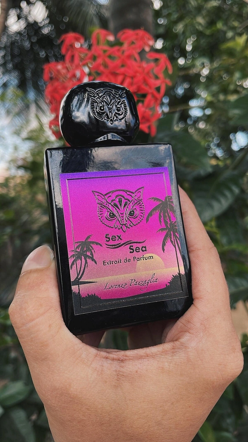 Lorenzo Pazzaglia Sex Sea