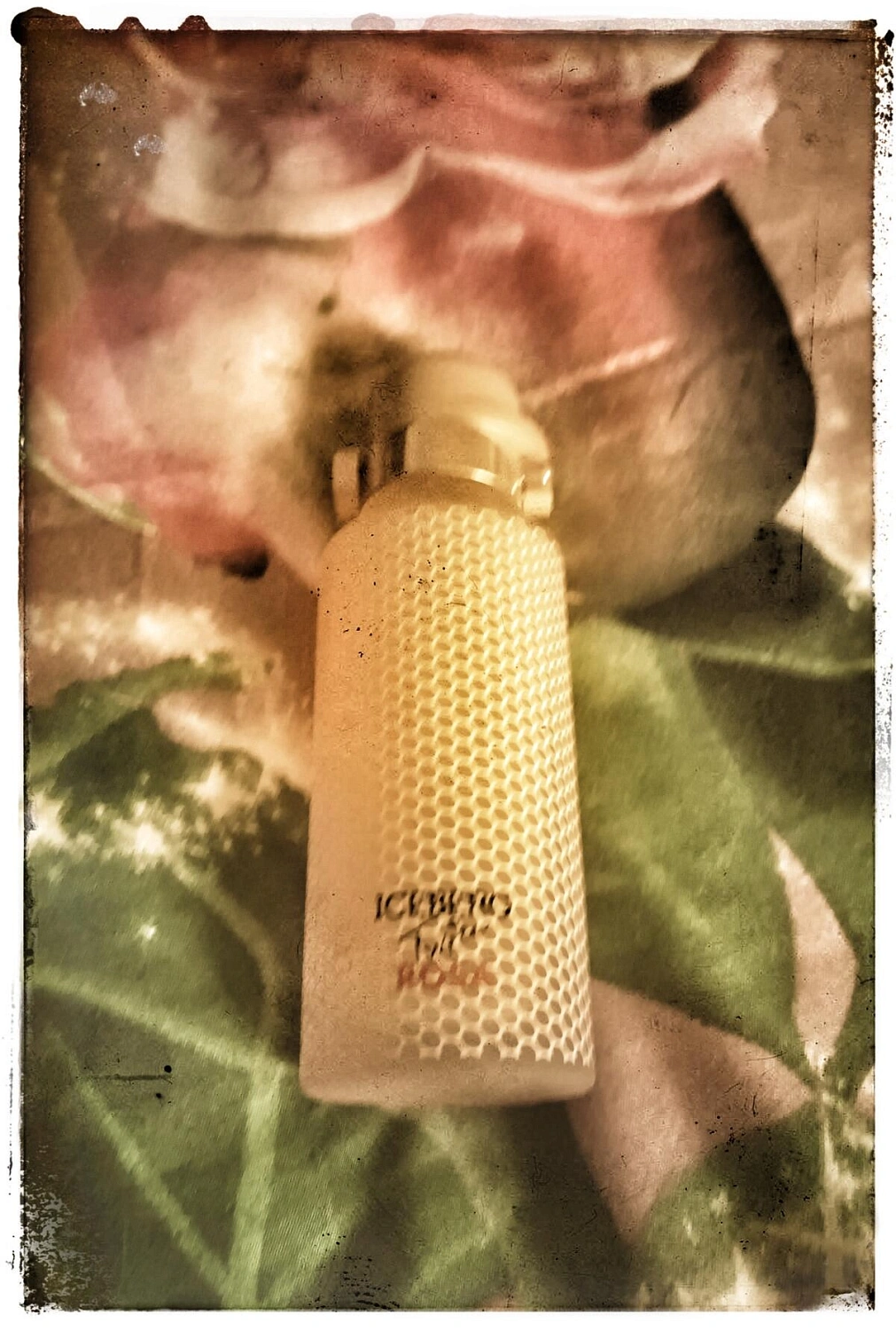 Iceberg Twice Rosa For Her