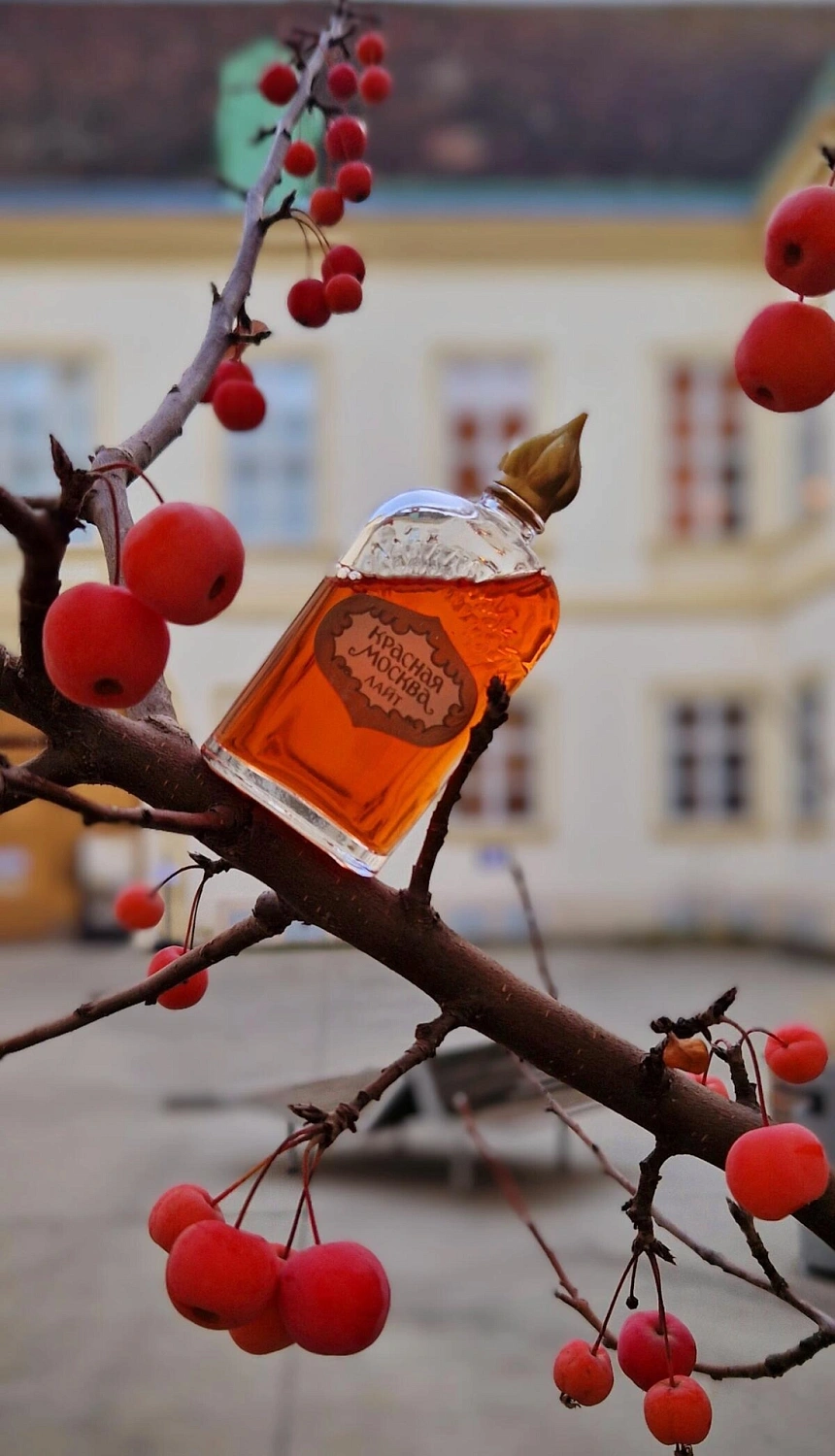 Novaya Zarya (Новая Заря) Красная Москва Лайт (Moscou Rouge Light)