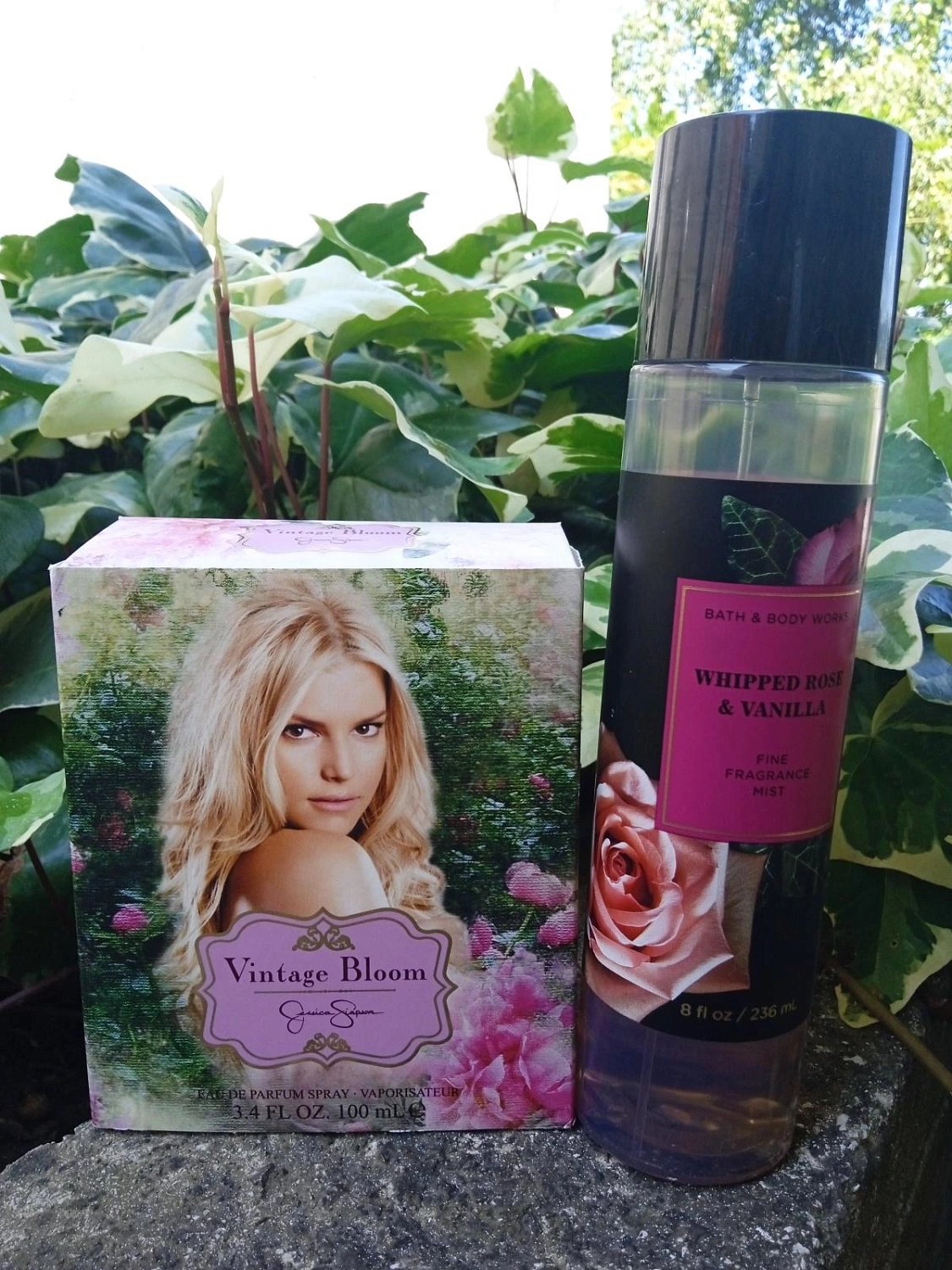 Jessica Simpson Vintage Bloom