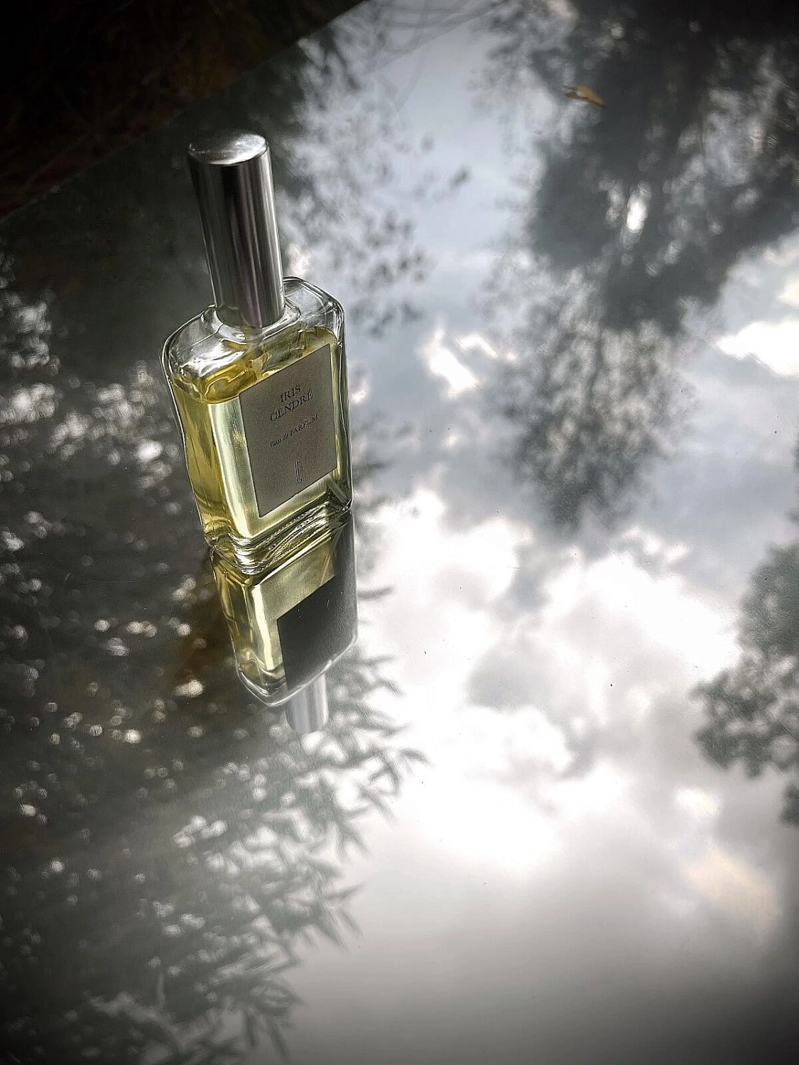 Naomi Goodsir Iris Cendre