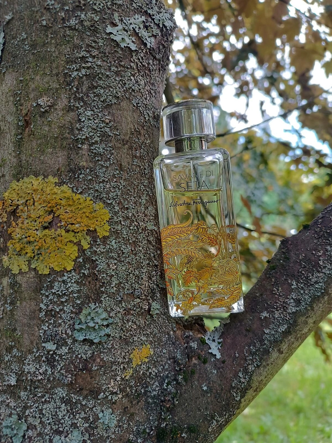 Salvatore Ferragamo Savane di Seta