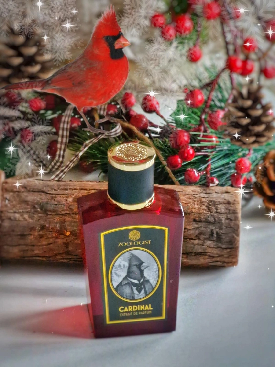 Zoologist Perfumes Northern Cardinal