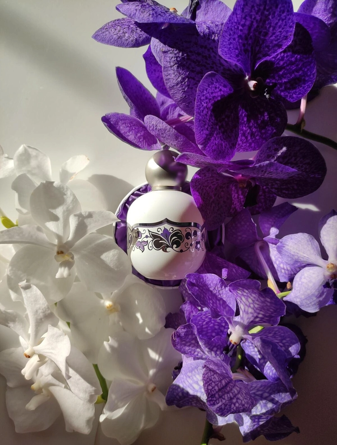 The Vagabond Prince Swan Princess