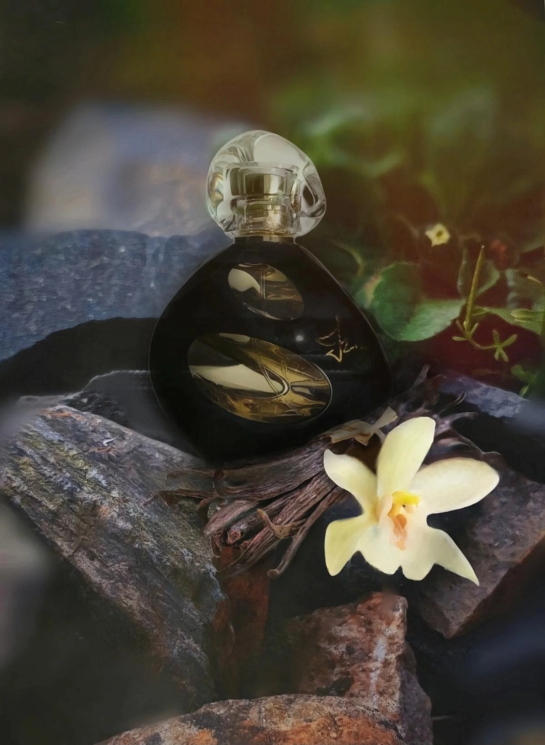 Sisley Izia La Nuit