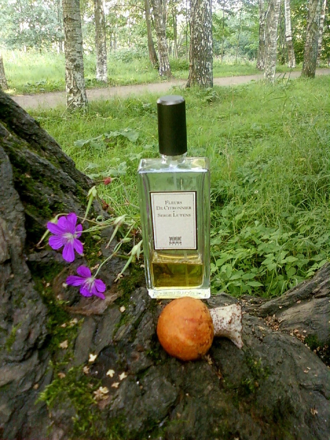 Serge Lutens Fleurs de Citronnier