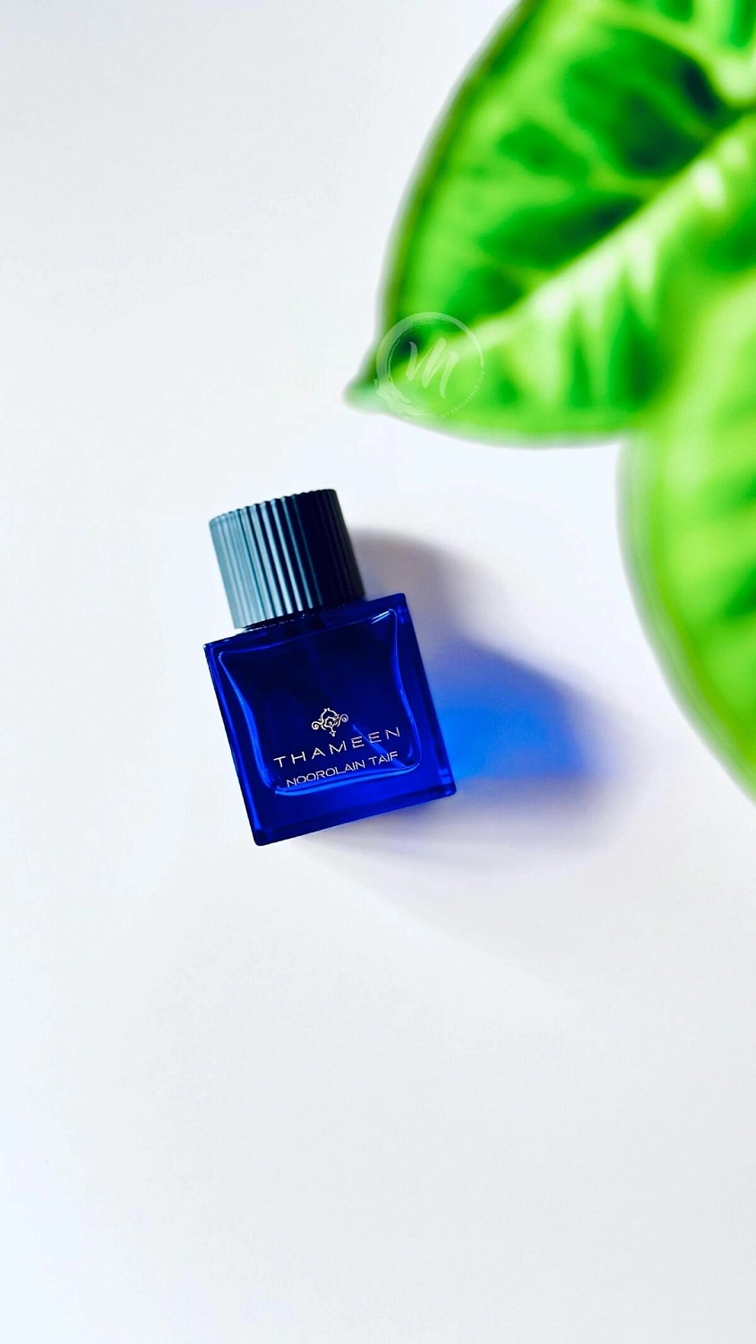 Thameen Noorolain Taif