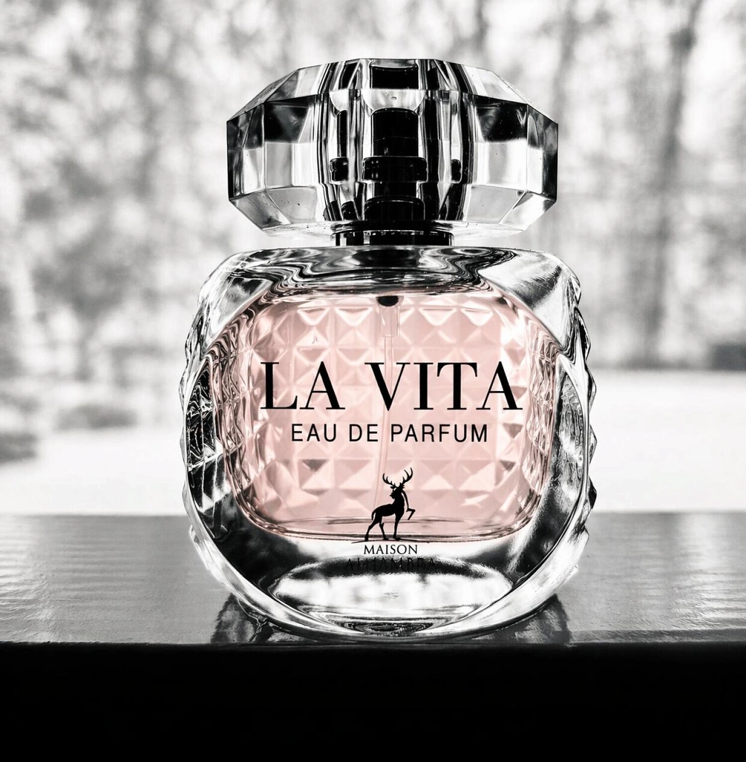 Valentino Donna