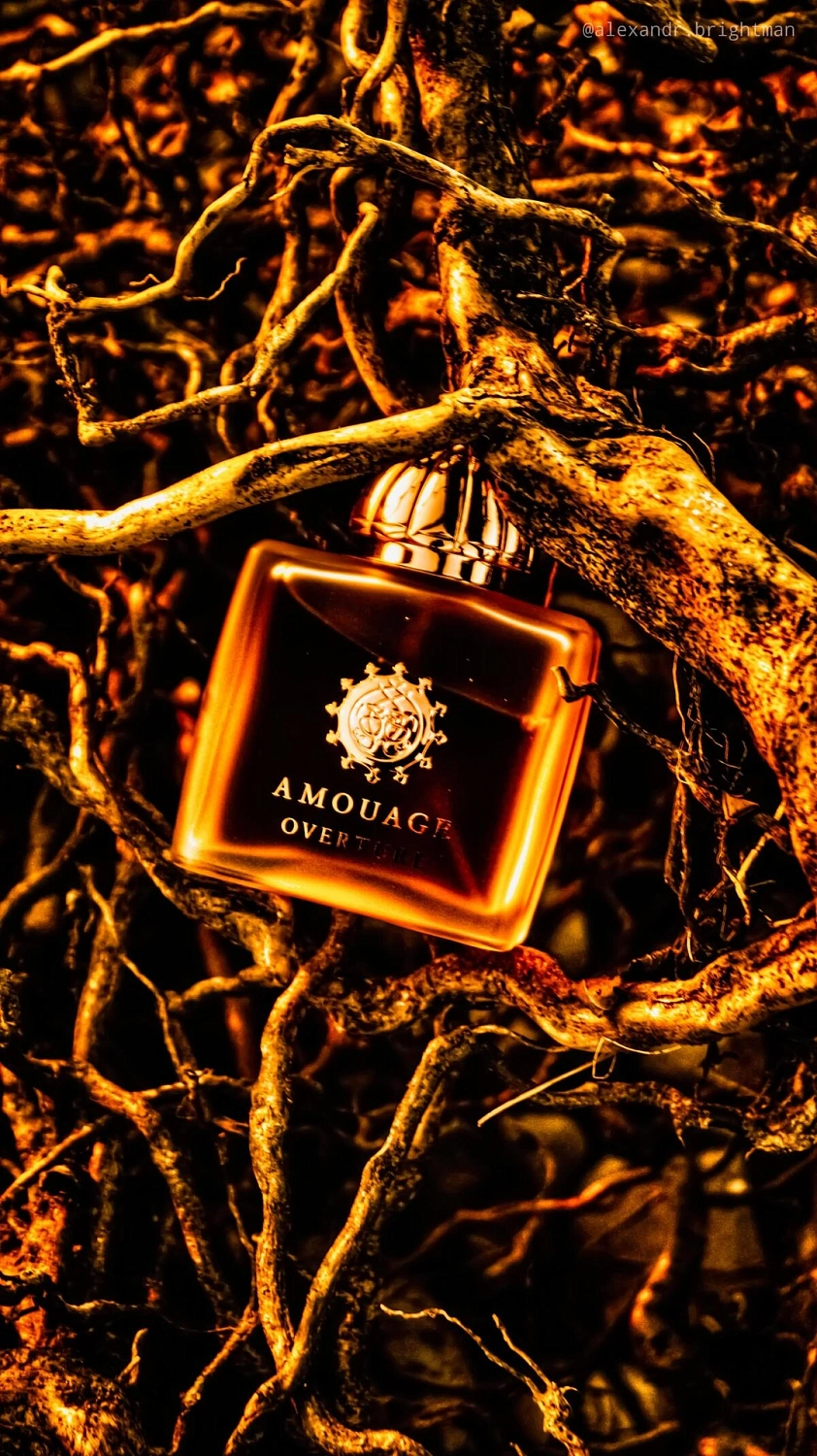 Amouage Overture Women