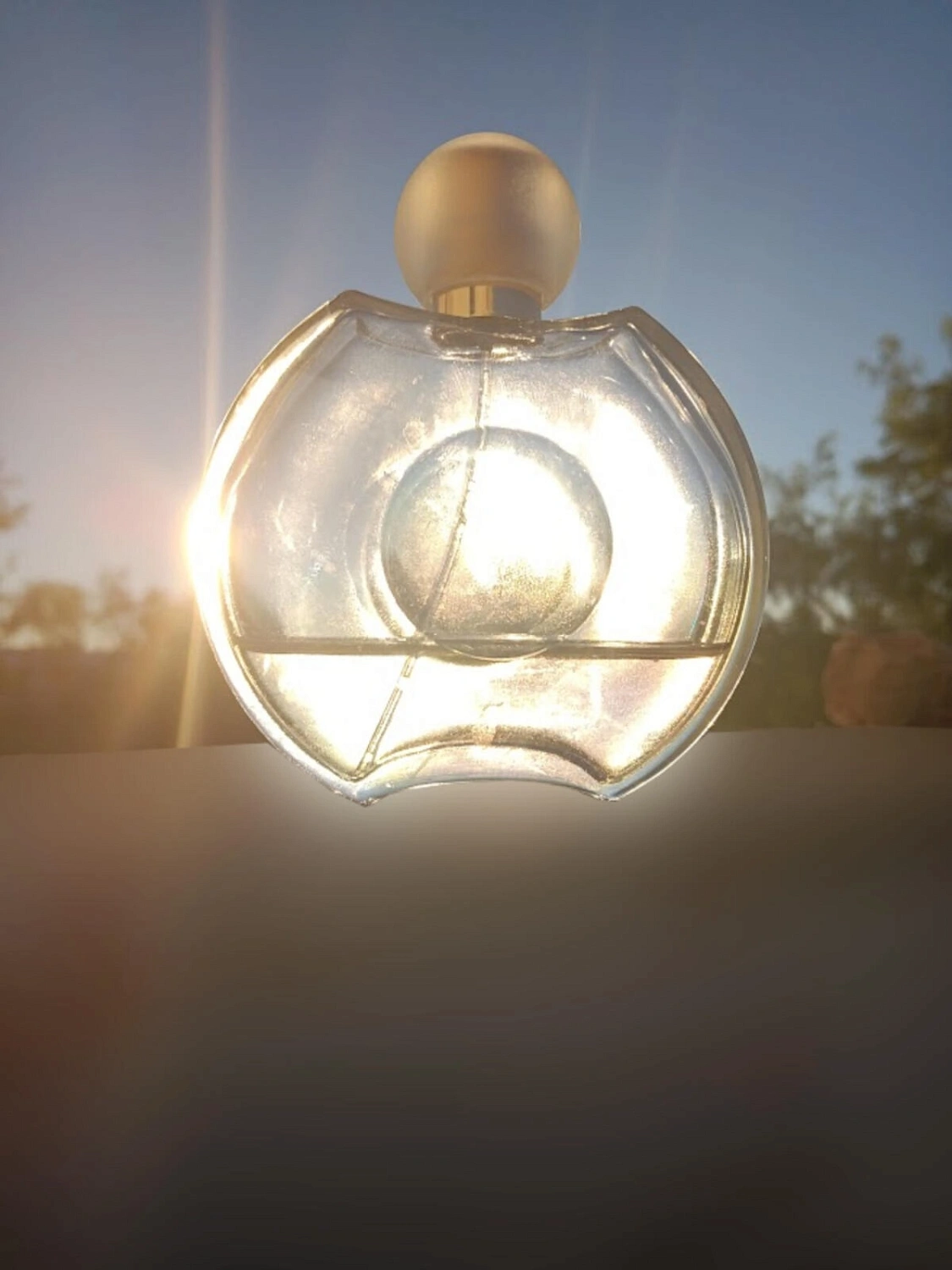 Elizabeth Taylor Forever Elizabeth