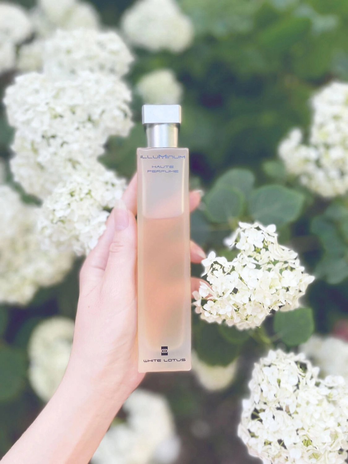 Illuminum White Lotus