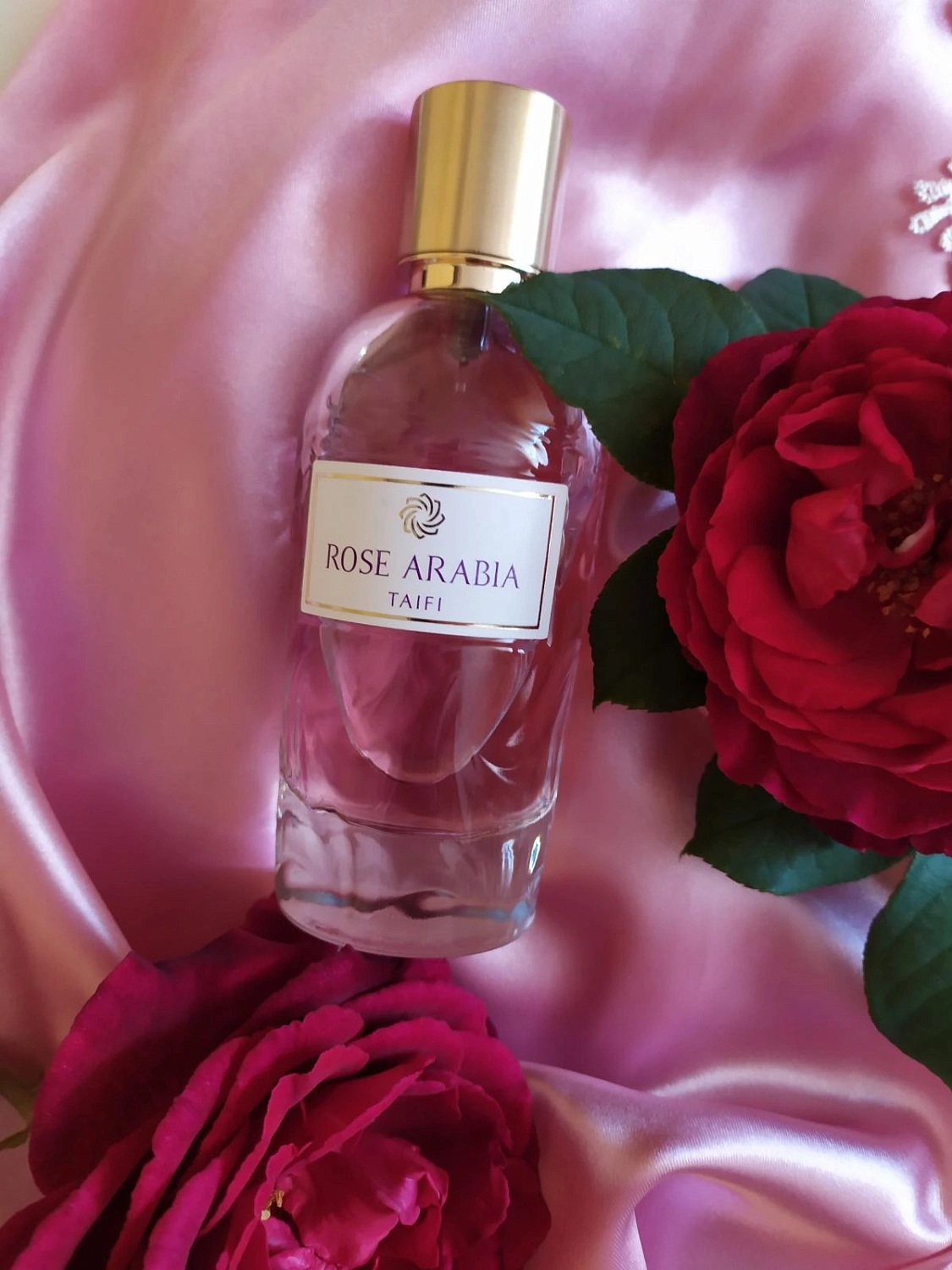 Aj Arabia Widian Rose Arabia Taifi Aj Arabia Widian Rose Arabia Taifi