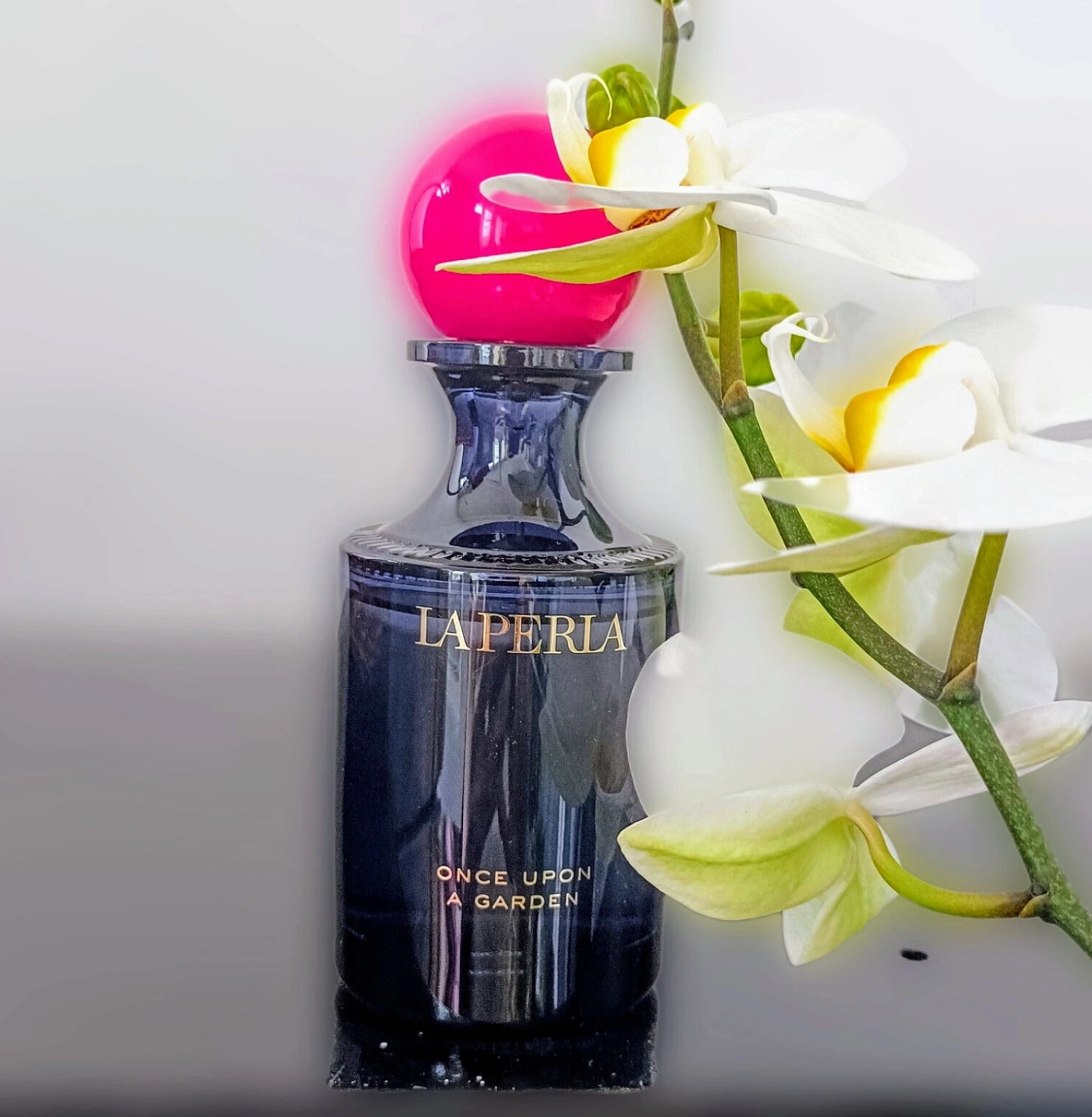 La Perla Once Upon A Garden