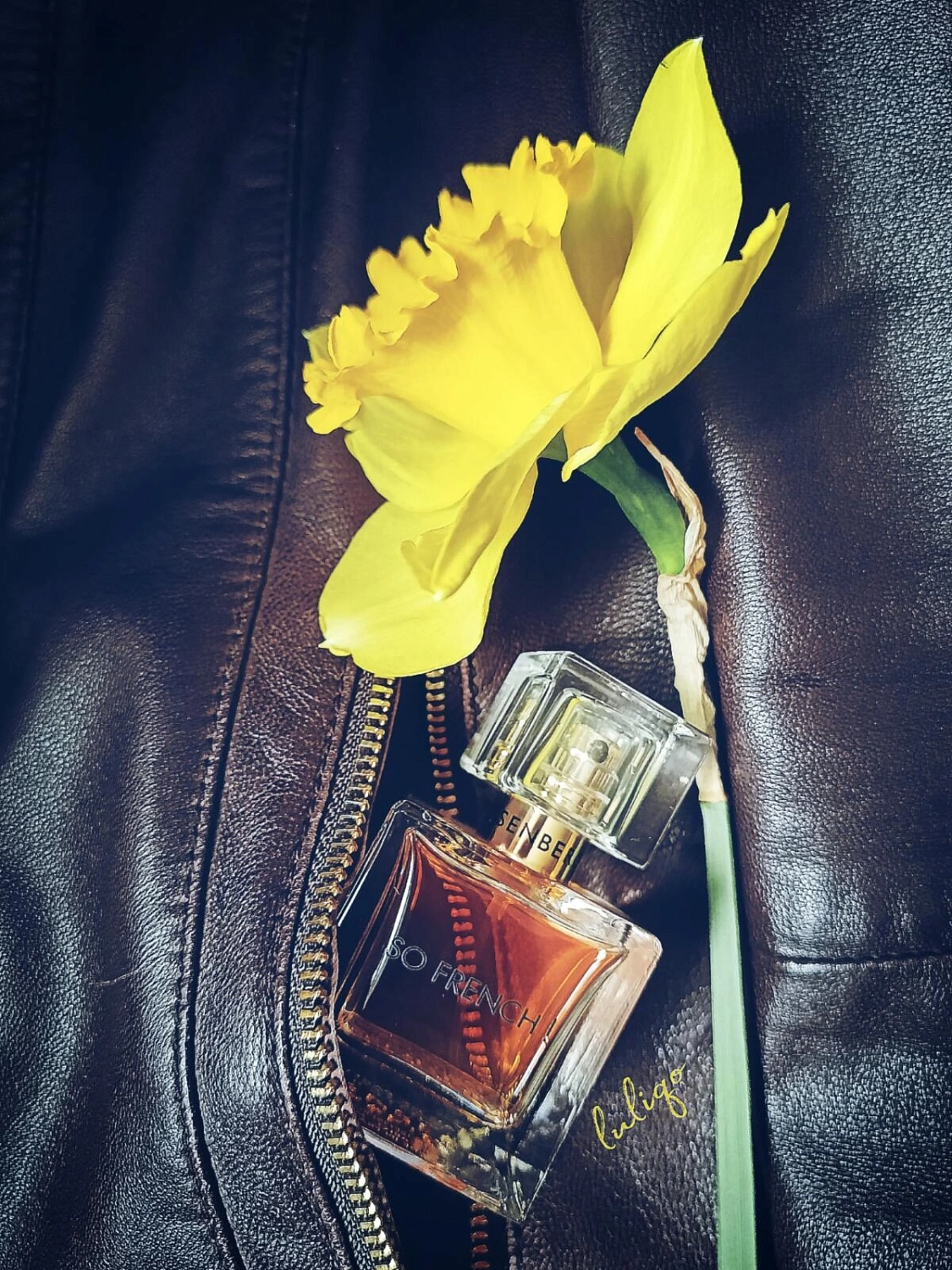 Eisenberg So French!