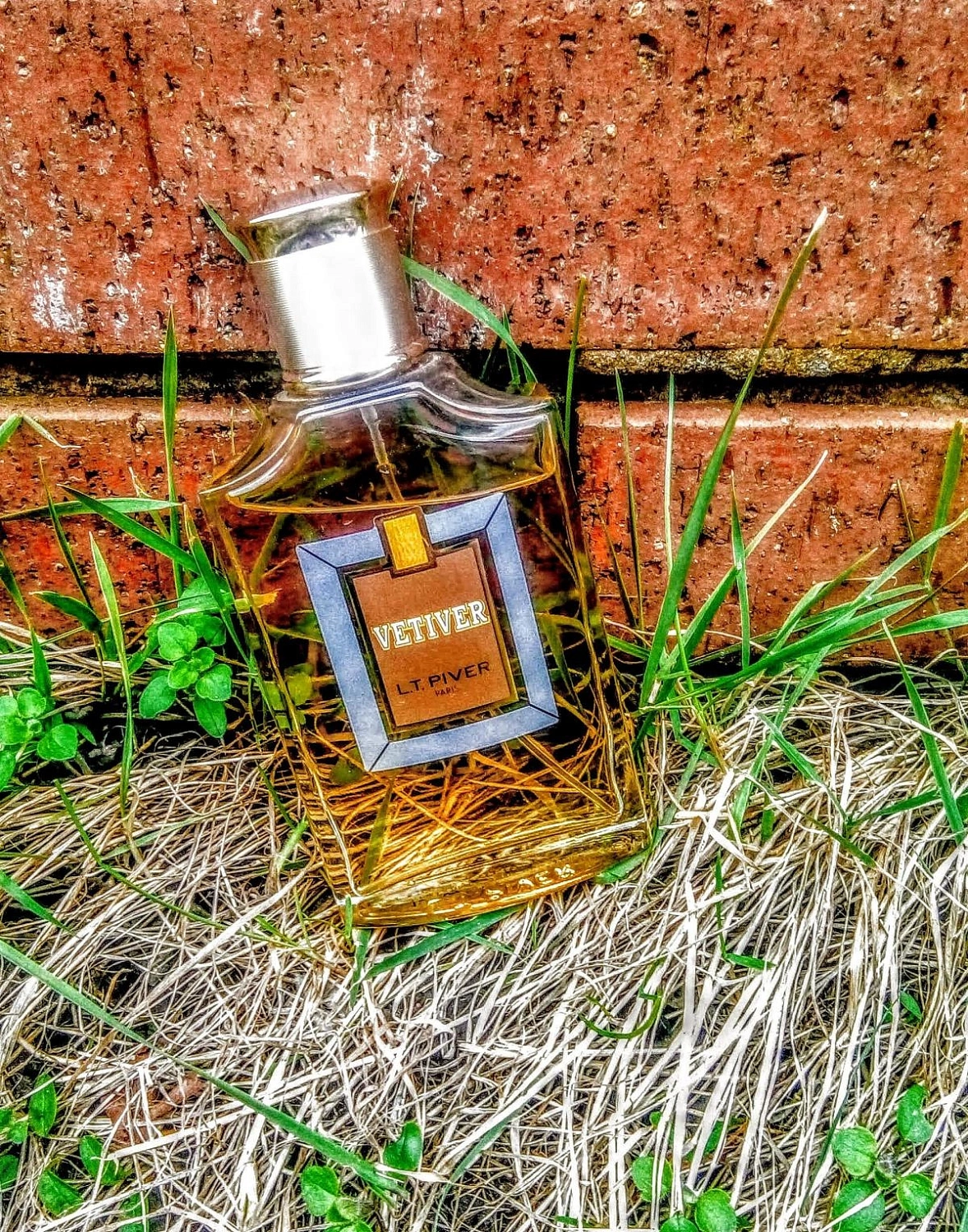 L.T. Piver Vetiver L.T. Piver Vetiver