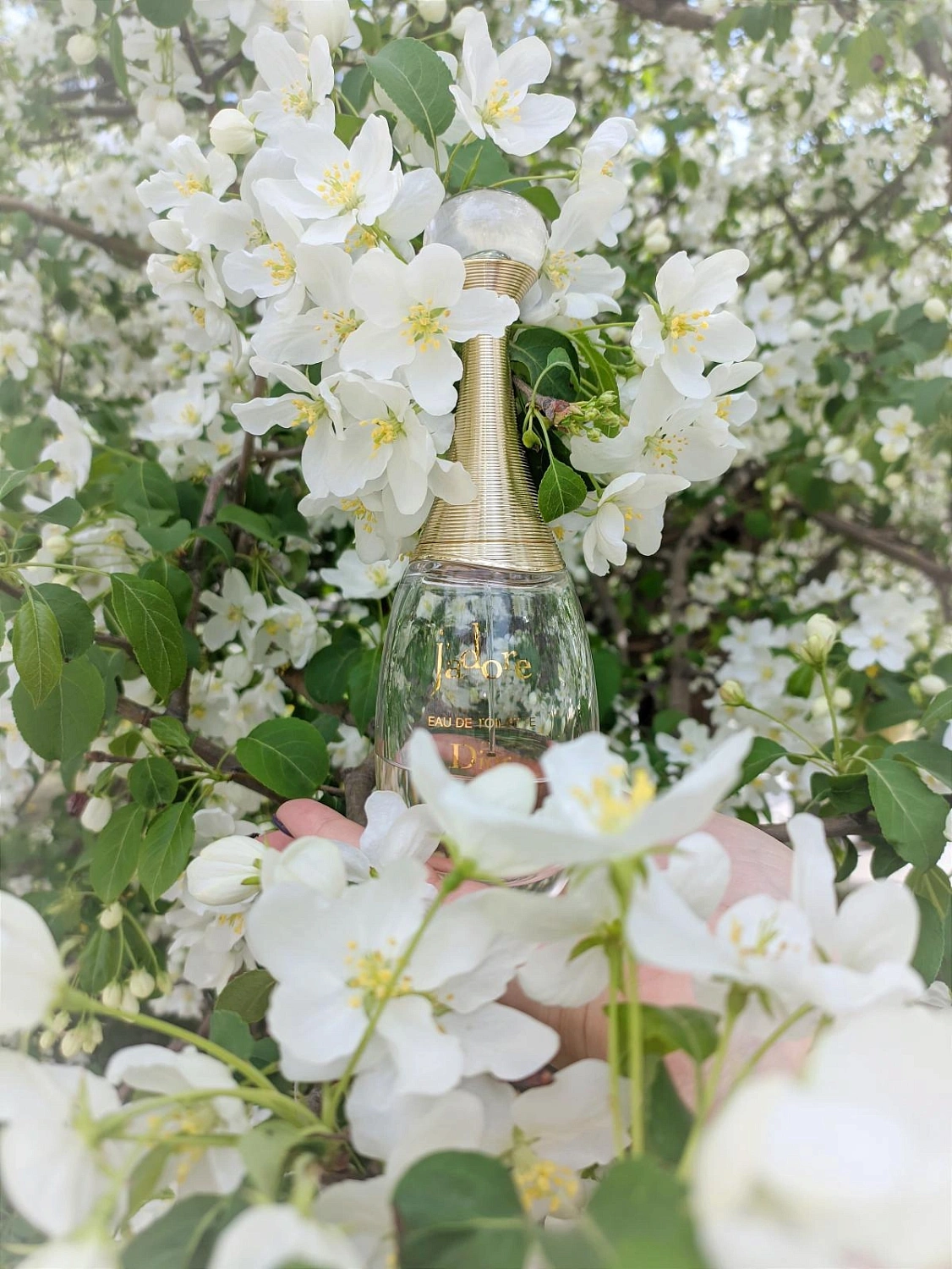 Christian Dior J’adore Lumiere Christian Dior J’adore Lumiere
