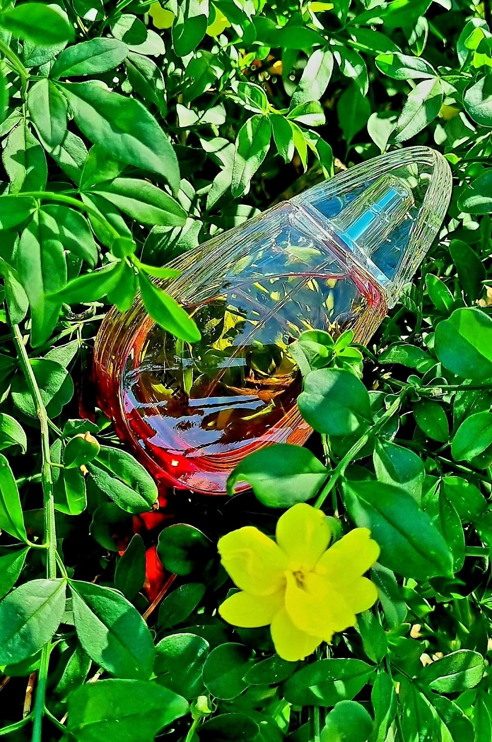 Madly Kenzo! Eau de Toilette