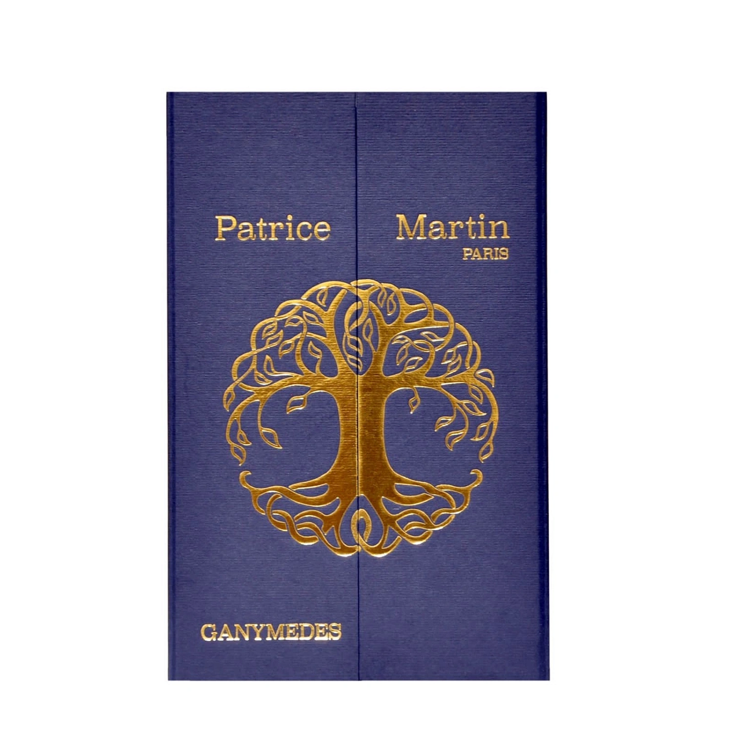 By Patrice Martin Ganymedes By Patrice Martin Ganymedes