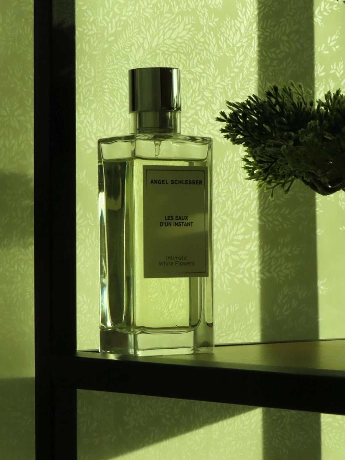 Angel Schlesser Intimate White Flowers