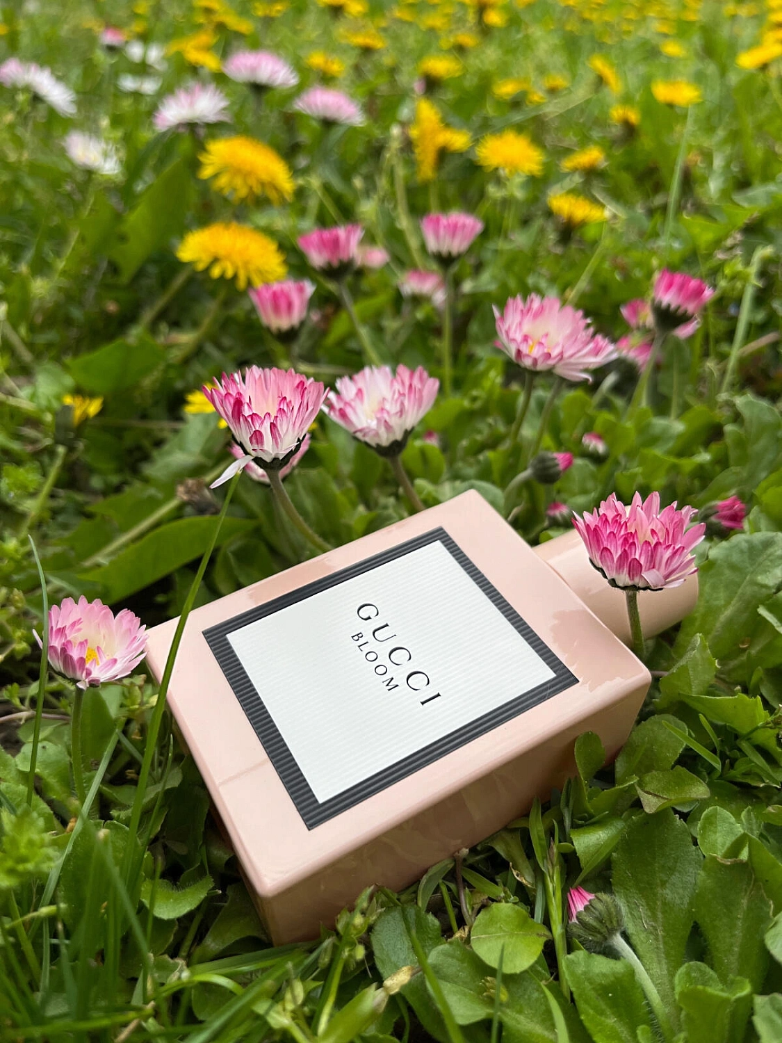 GUCCI Bloom GUCCI Bloom