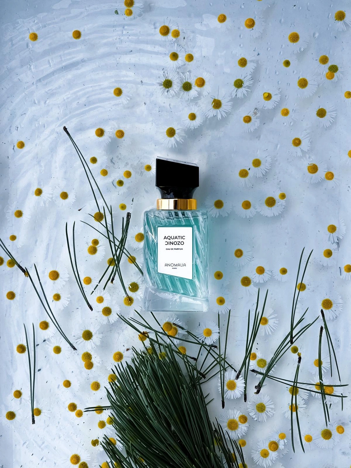 Anomalia Aquatic Ozonic