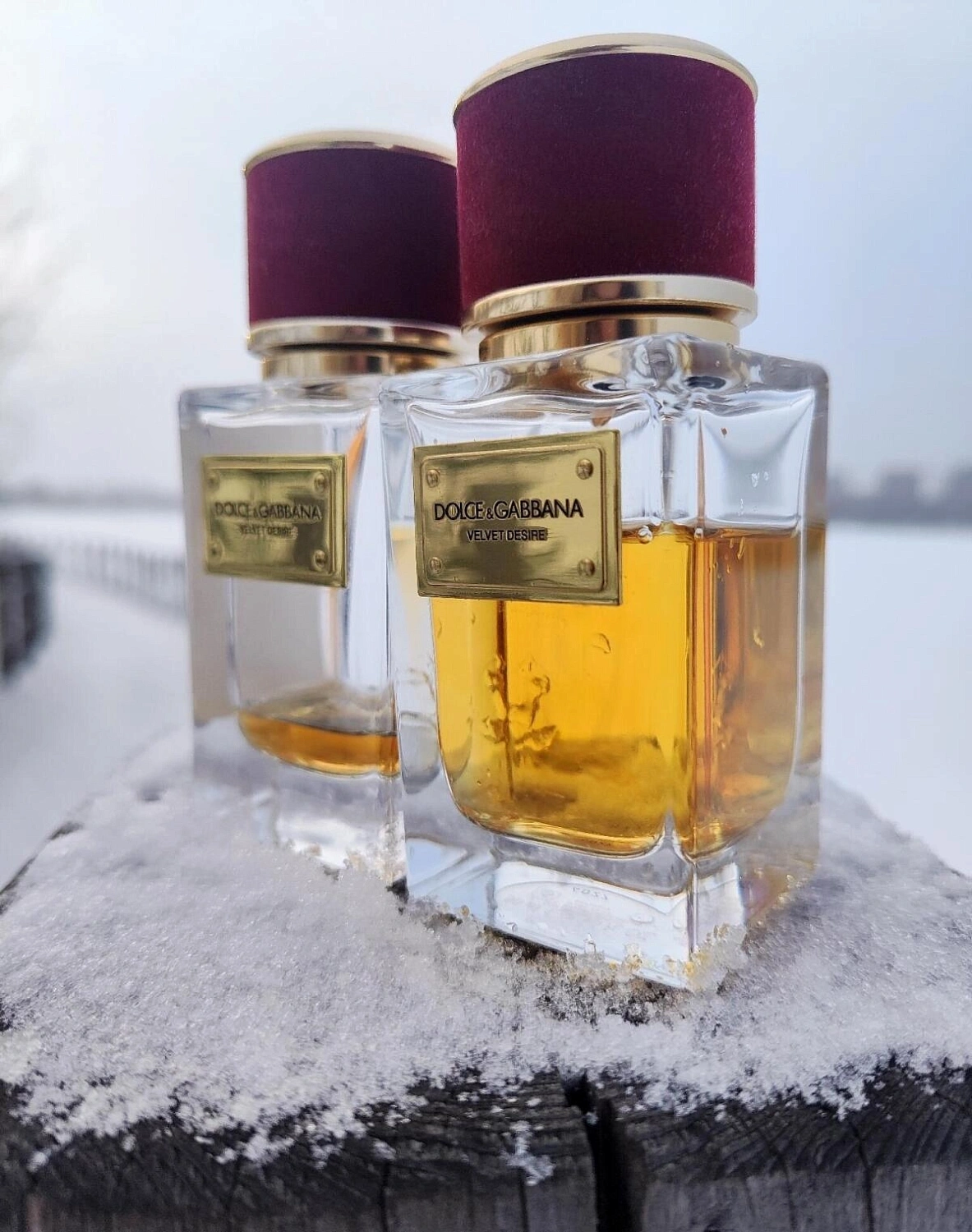 DOLCE & GABBANA Velvet Desire